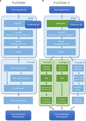 FunOrder 2.0 – a method for the fully automated curation of co-evolved genes in fungal biosynthetic gene clusters